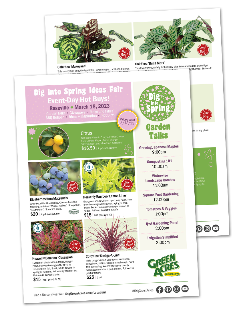 Sales Flyer for the Extraordinary Houseplant Event at Auburn 2023