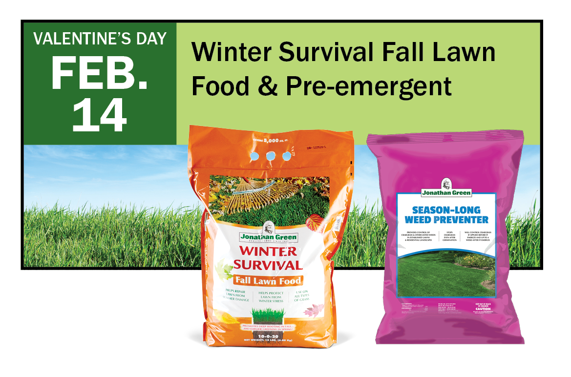 February 14: Apply Winter Survival Fall Lawn Food and Weed Preventer