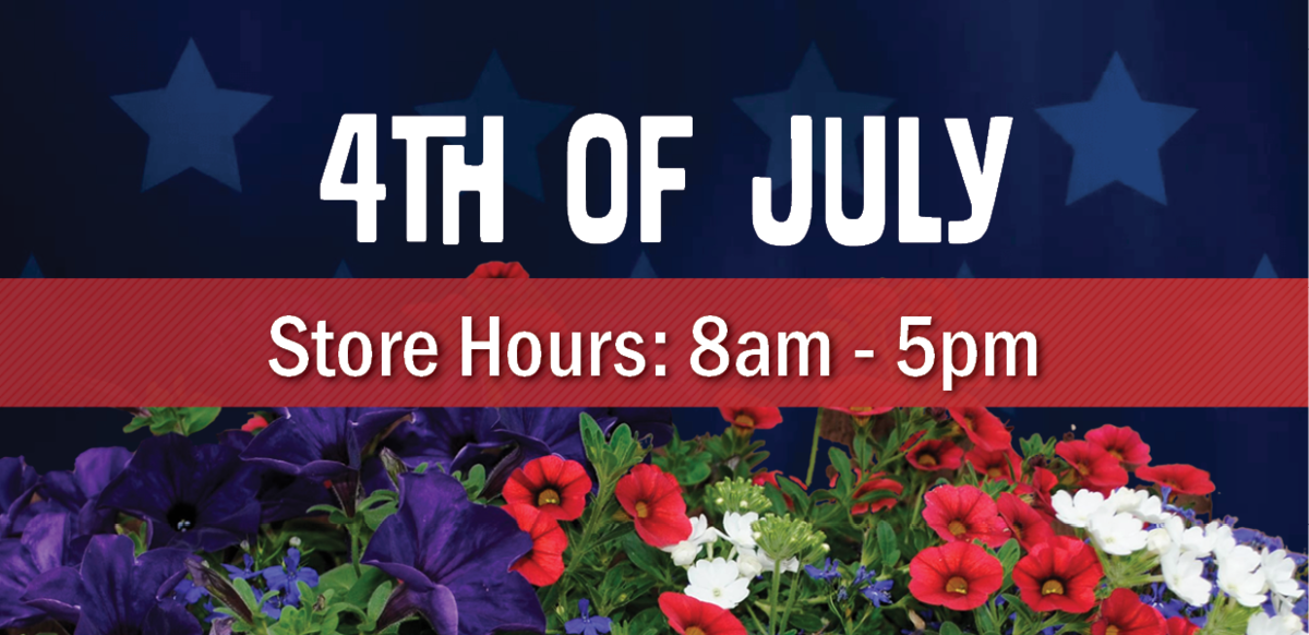 4th of July Store Hours: 8am-5pm 4th of July Store Hours: 8am-5pm