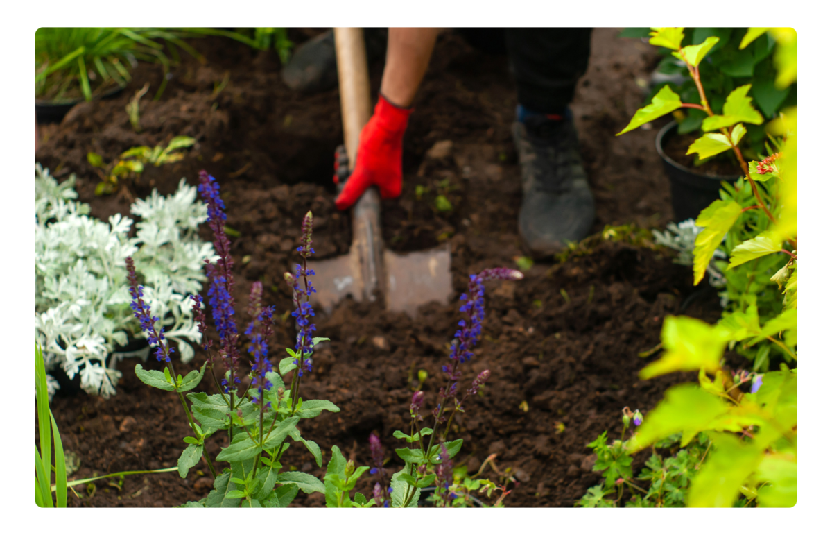 Install team working on digging holes for plants