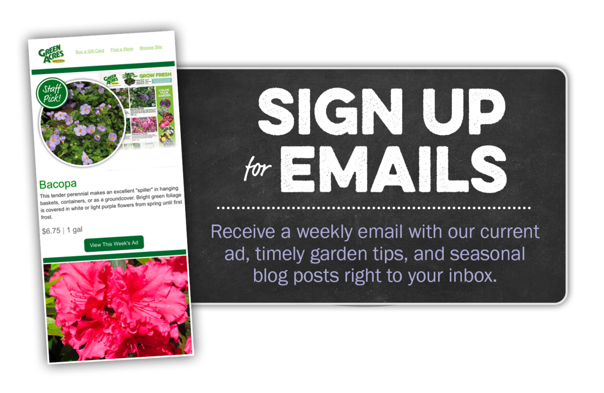 Sign up for Emails. Receive a weekly email with our current ad, timely garden tips, and seasonal blog posts right to your inbox. 