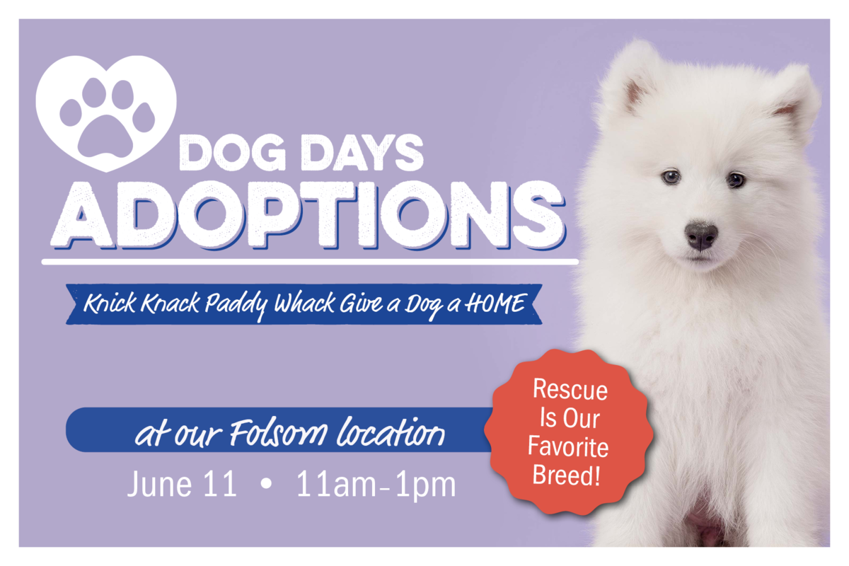 Dog Days Adoptions Folsom graphic