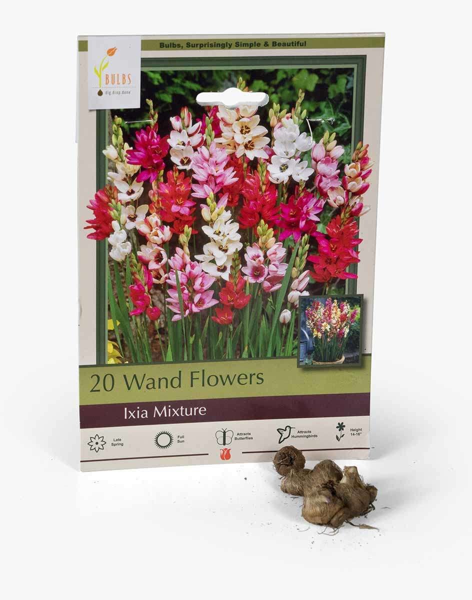 Package of Wand Flowers