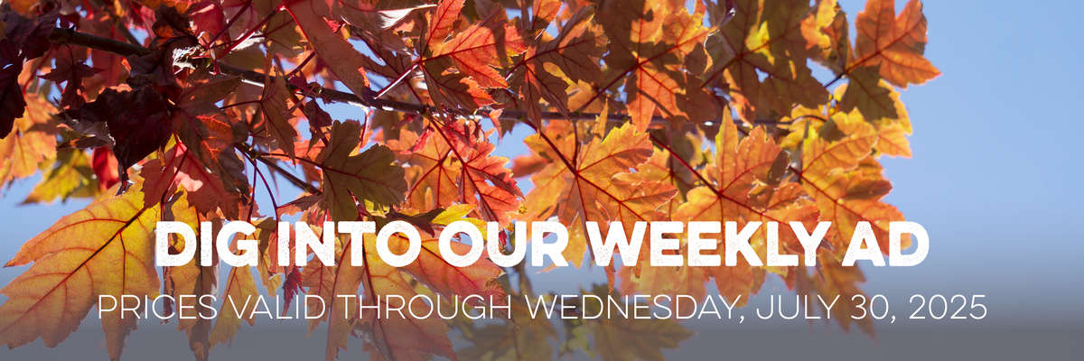 Banner with Red Crape Myrtle . Text reads "Dig Into Our Weekly Ad, with valid prices through Wednesday, July 9, 2025