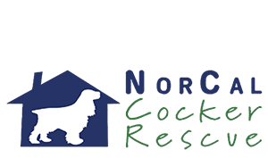 Link to NorCal Cocker Rescue Website