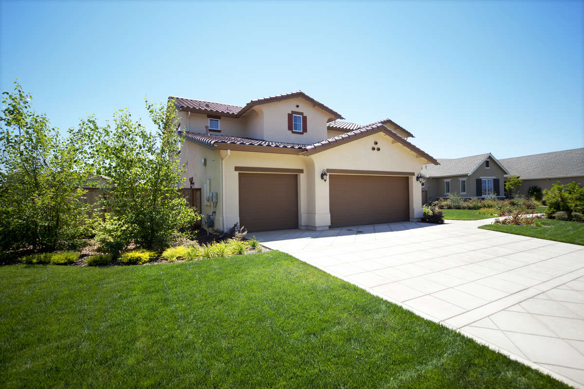 Healthy Lawn in a Landscape