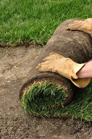 Laying New Sod