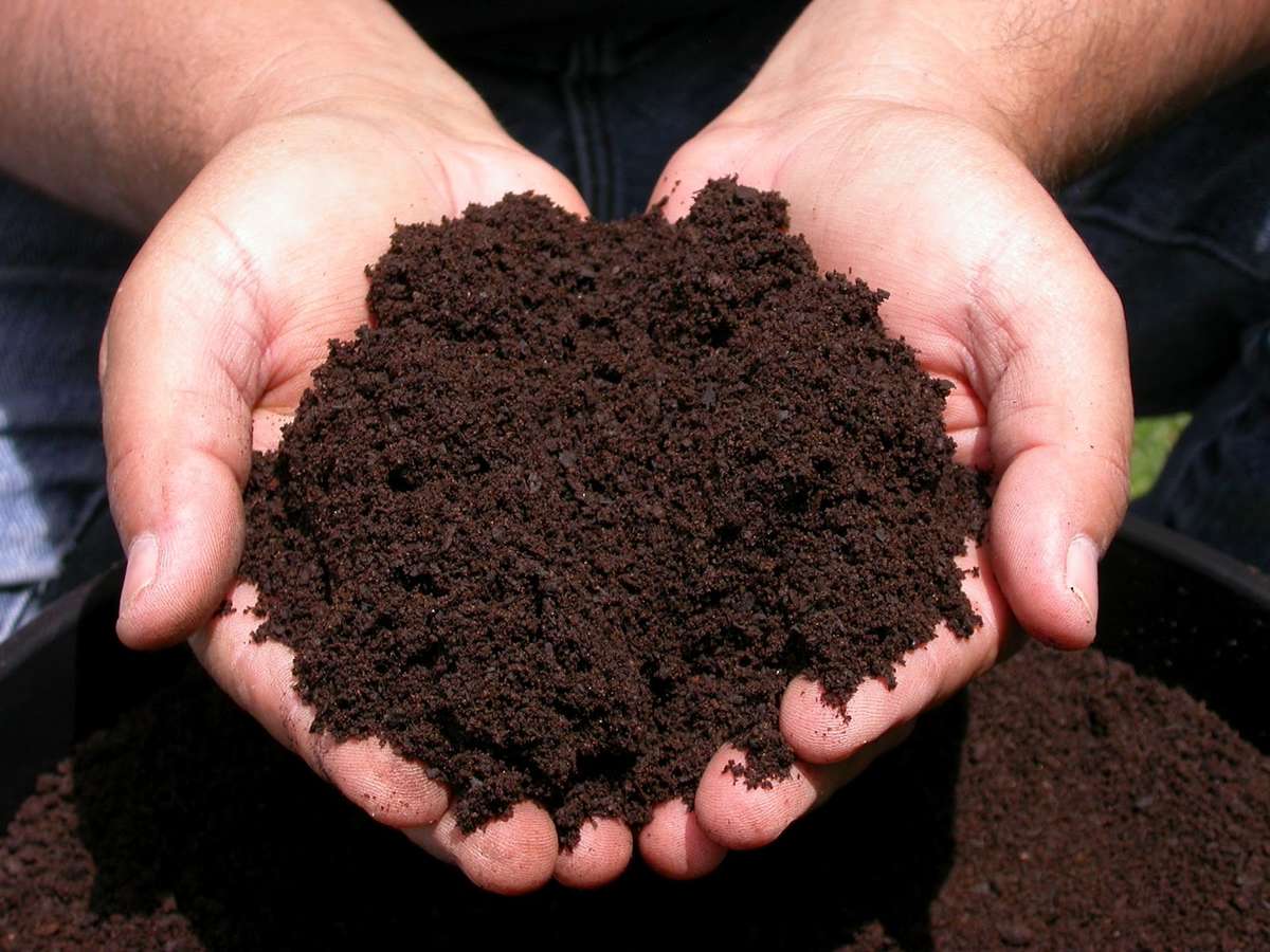 Hands holding dark, rich, quality soil