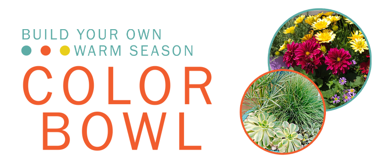 Build Your Own Warm Season Color Bowl