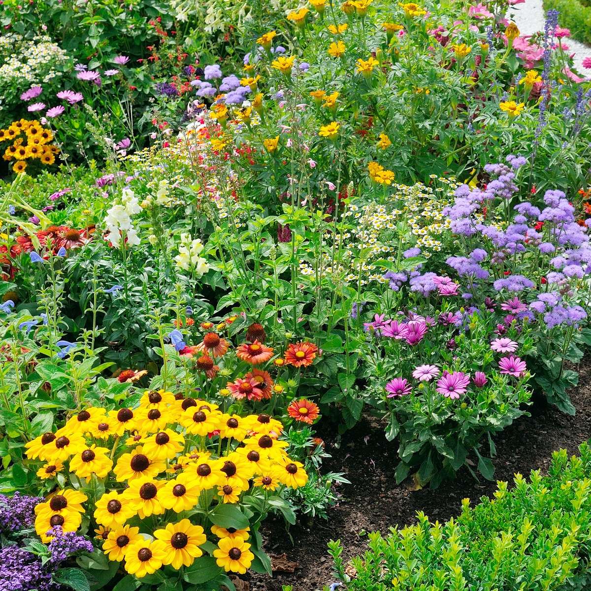 Pollinator garden