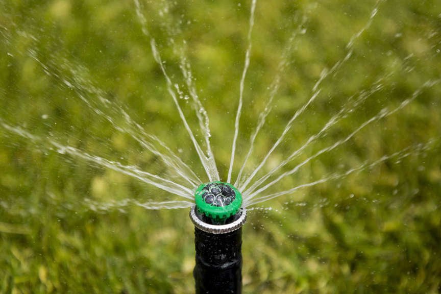 MP Rotator Nozzle Watering a Lawn