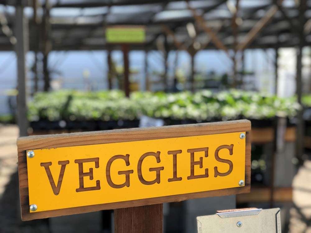 Veggie Sign at Eisley's