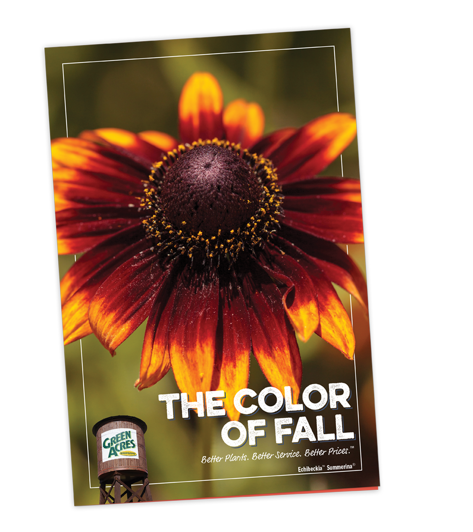 The Color of Fall - September Garden Inspiration