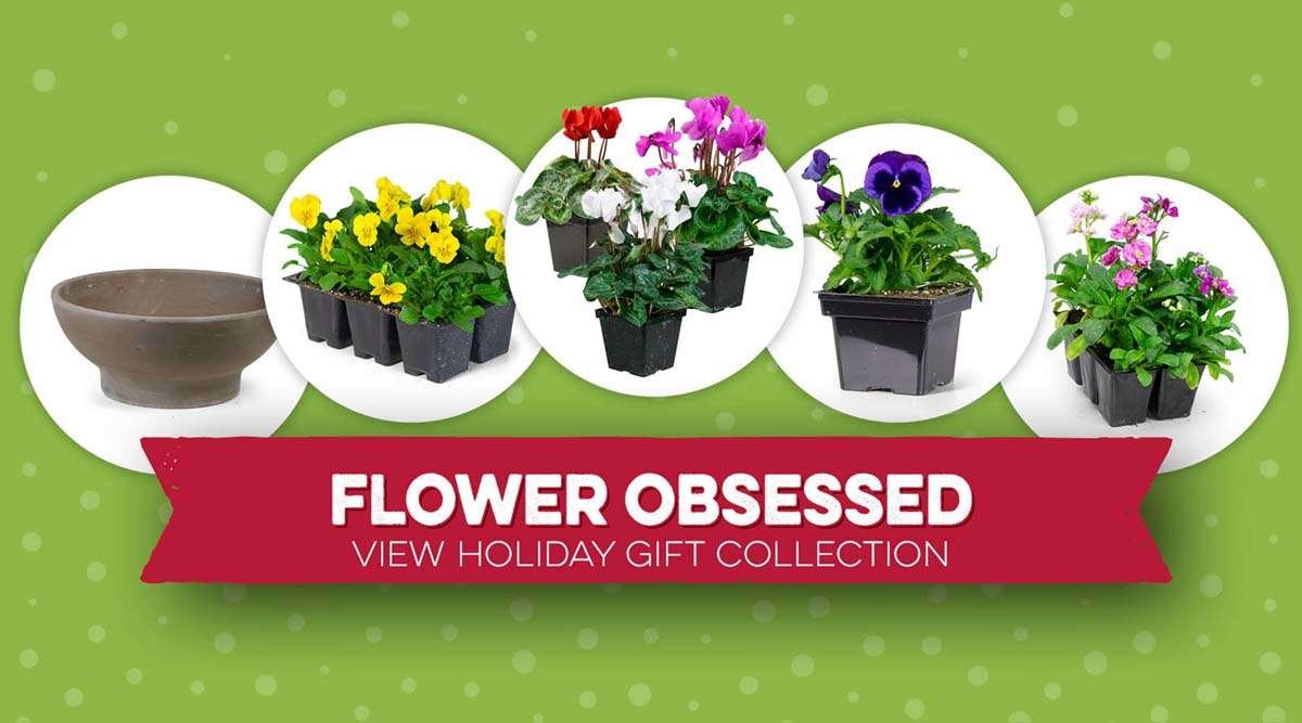 Flower Obsessed View Holiday Gift Collection