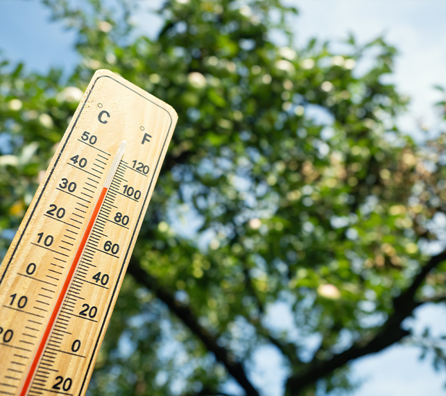 A home thermometer shows 50 degrees Celsius, Heat outside Stock