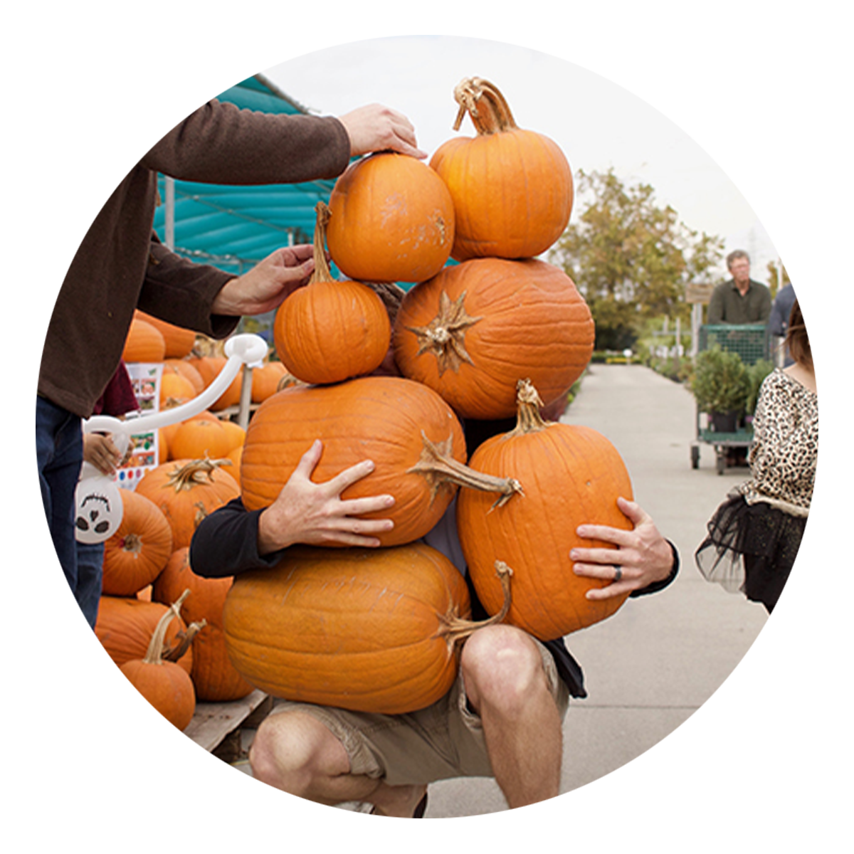 Pumpkin Decorating