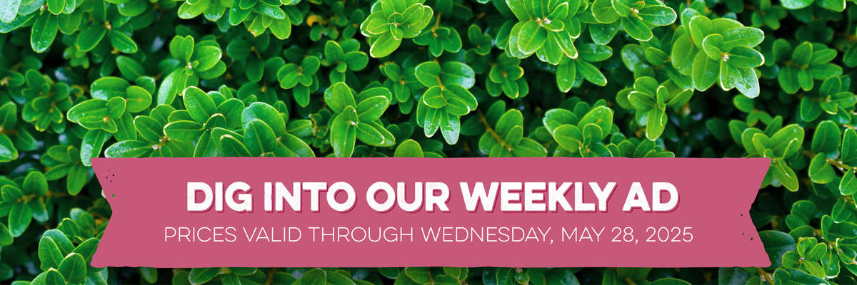 Banner image of Roses with the text "Dig Into Our Weekly Ad, prices valid through Wednesday, May 14, 2025