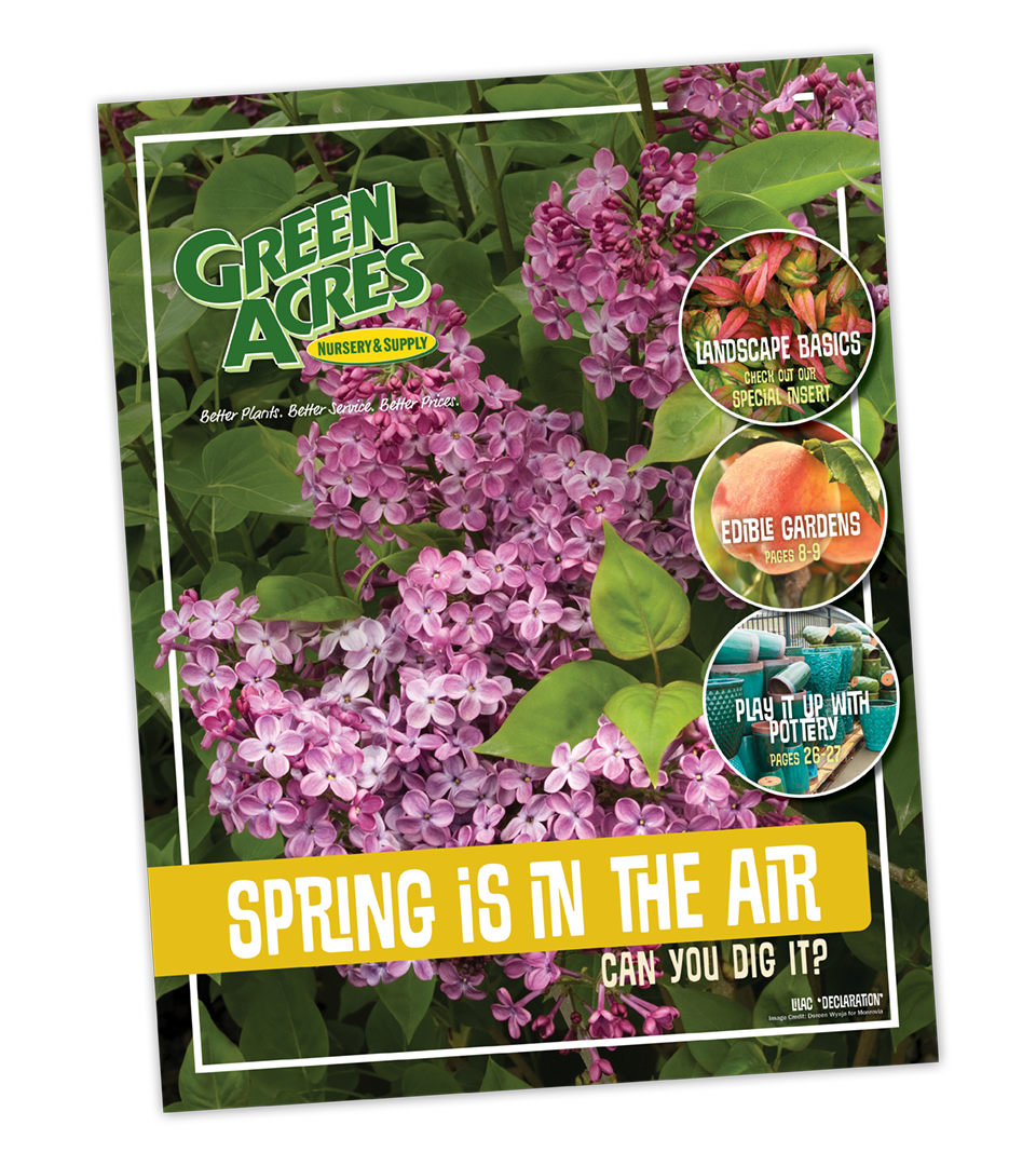 Catalog Garden Inspiration Catalog Garden Inspiration