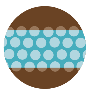 Loamy Soil Texture