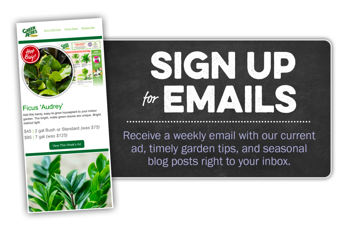 Sign up for Emails. Receive a weekly email with our current ad, timely garden tips, and seasonal blog posts right to your inbox. 
