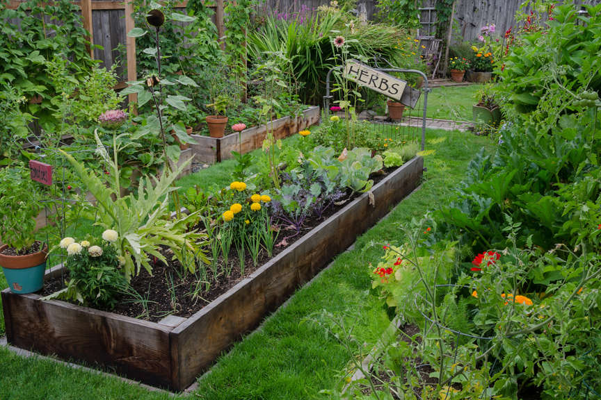 Raised Garden Beds with veggies and flowers