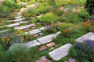 close up of plants near outdoor steps made of rocks