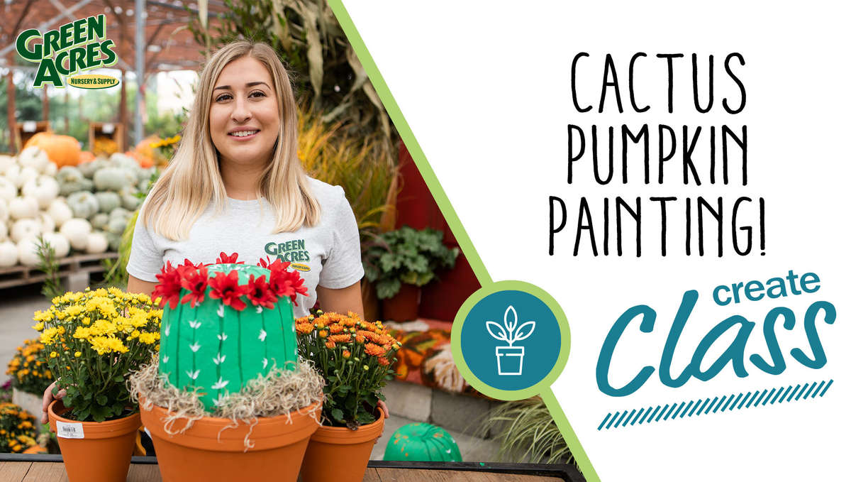 Cactus Pumpkin Painting