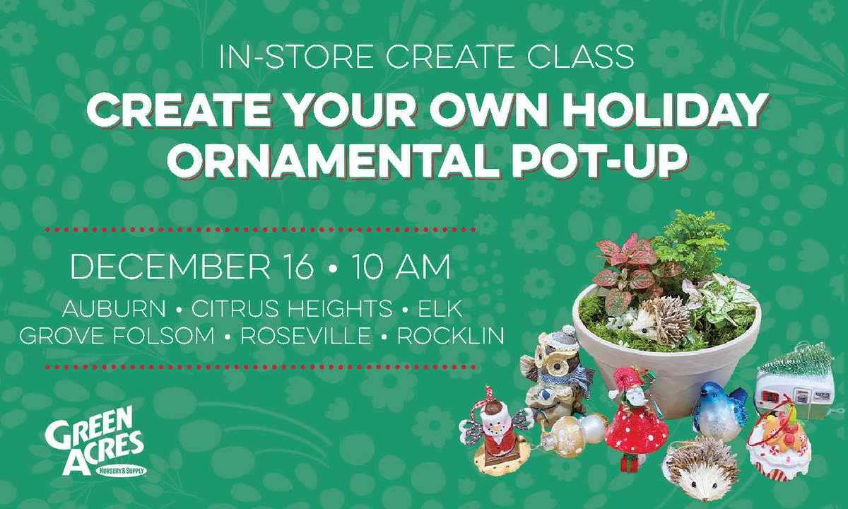 In-Store Create Class: Create Your Own Holiday Pot Up. December 16 at 10am at the following locations, Auburn, Citrus Heights, Rocklin, Roseville, Folsom, and Elk Grove.