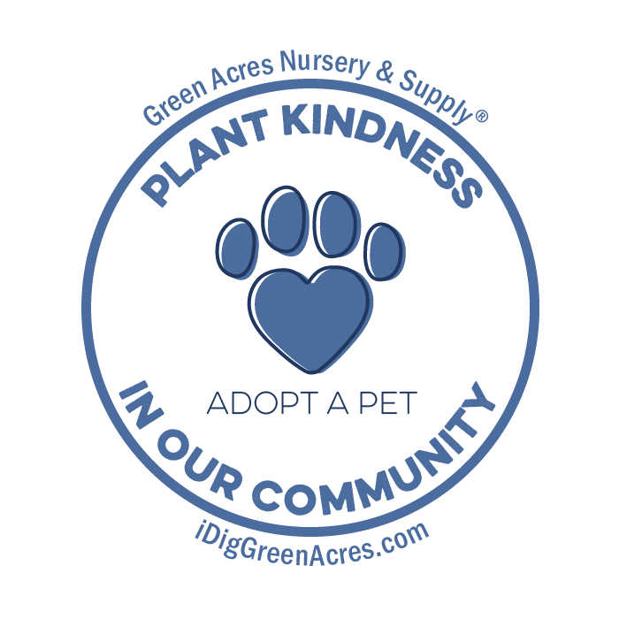 Plant kindness in our community: adopt a pet
