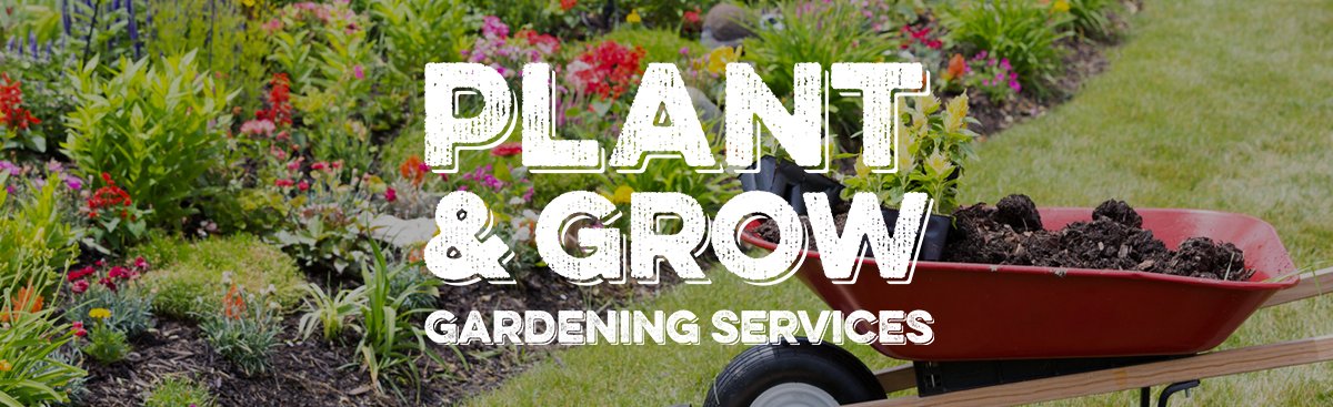 Plant & Grow: Planting Service Made Simple and Fun. Plant & Grow: Planting Service Made Simple and Fun.