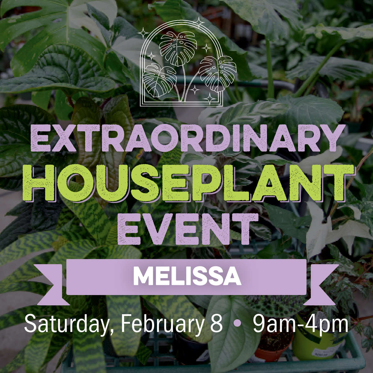 Extraordinary Houseplant Event Melissa | Saturday, February 8 from 9am to 4pm Extraordinary Houseplant Event Melissa | Saturday, February 8 from 9am to 4pm