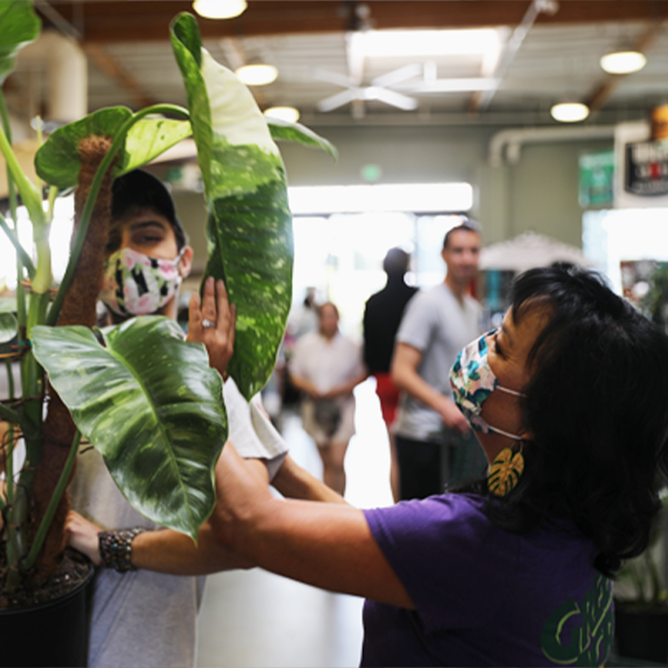Woman admires plant before purchasing