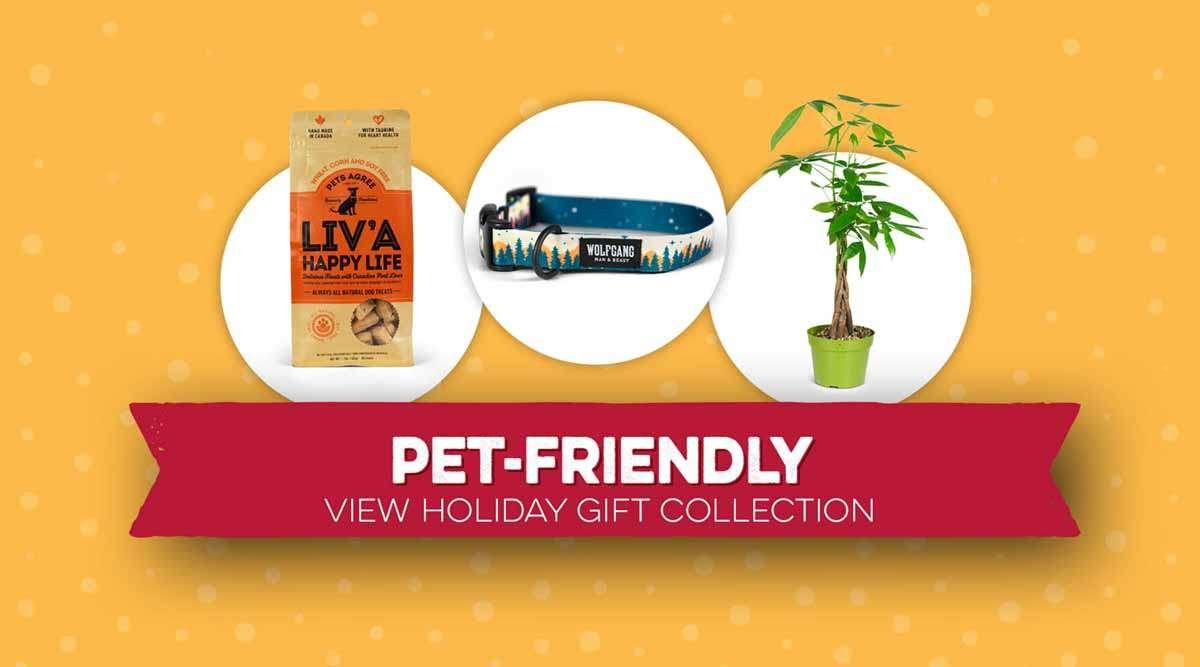 Pet-Friendly View Holiday Gift Collection