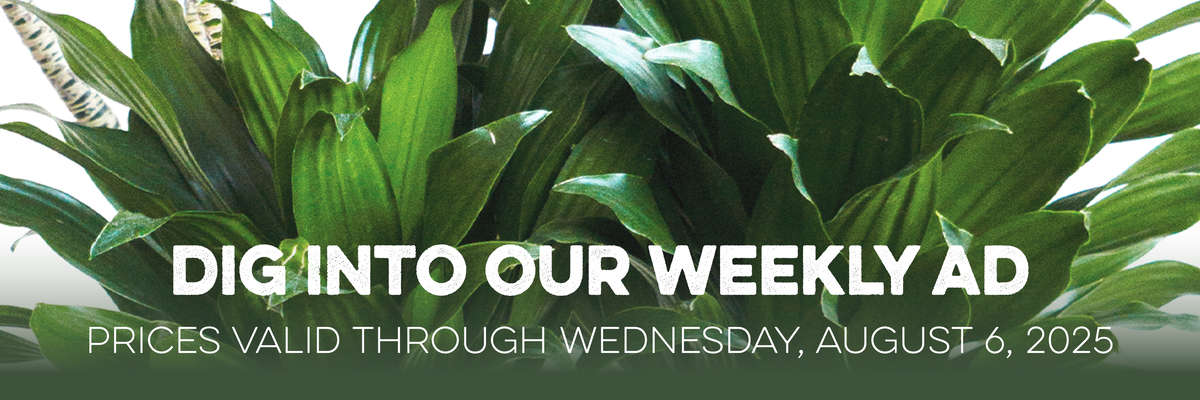 Banner with Red Crape Myrtle . Text reads "Dig Into Our Weekly Ad, with valid prices through Wednesday, July 9, 2025