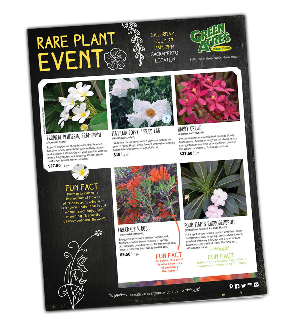 Rare Plant Event Green Acres Nursery Supply