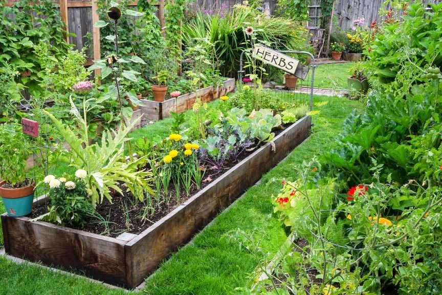 Raised Bed with Planted Veggies and Herbs