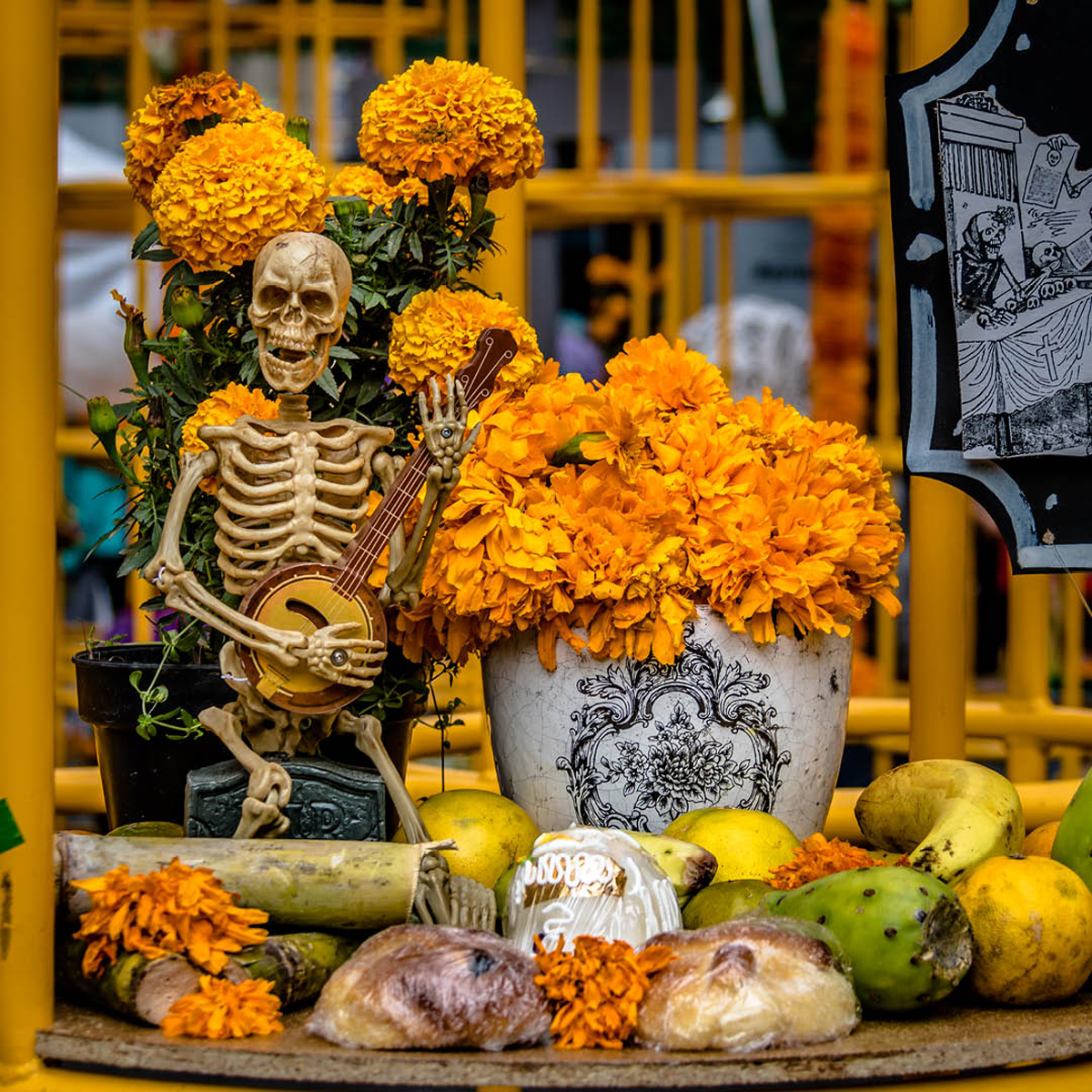 Marigold alter for Día de Muertos 