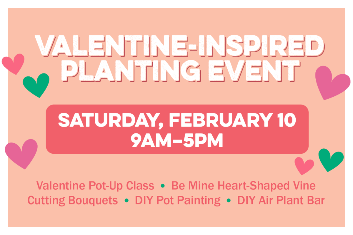 Valentine-Inspired Planting Event on Saturday, February 10 from 9am-5pm. 