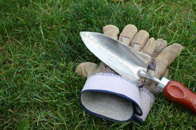 Trowel and gloves on grass