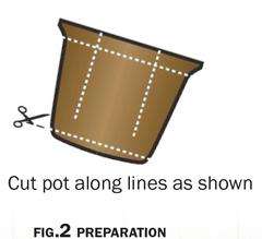 Illustration of where to cut a pulp pot for planting 