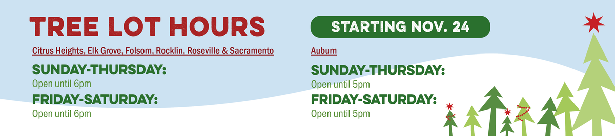 Tree Lot Hours at Citrus Heights, Elk Grove, Folsom, Rocklin, Roseville, and Sacramento are Sunday-Thursday Open until  6PM and Friday to Saturday Open until 8pm. For Auburn we are open Sunday to thursday until 6pm and Friday to Saturday open until 8pm