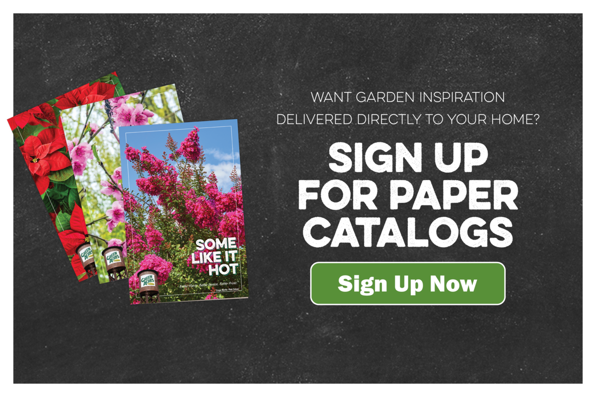 Want Garden inspiration delivered directly to your home? Sign up for paper catalogs.