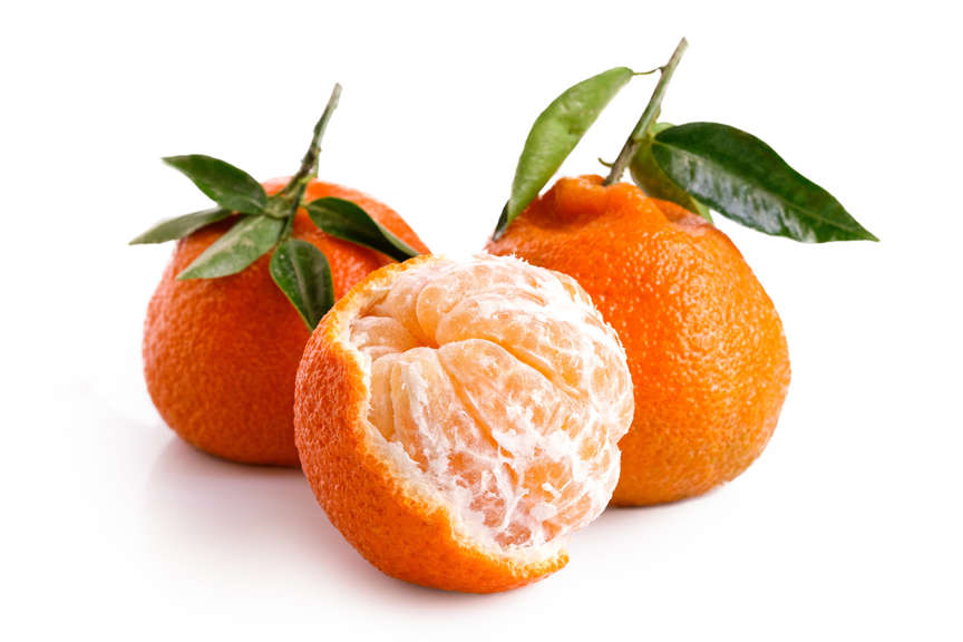 Mandarin Satsuma Owari