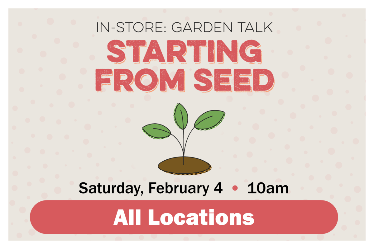 InStore Garden Talk: Starting from Seed. Saturday, February 4 at 10 am. All locations.