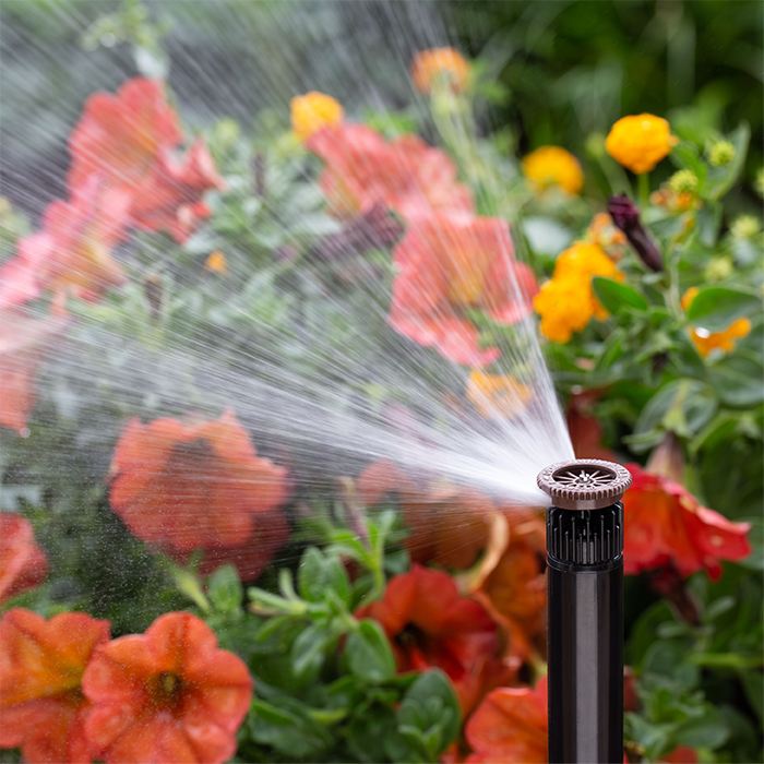 MP Rotator watering garden bed