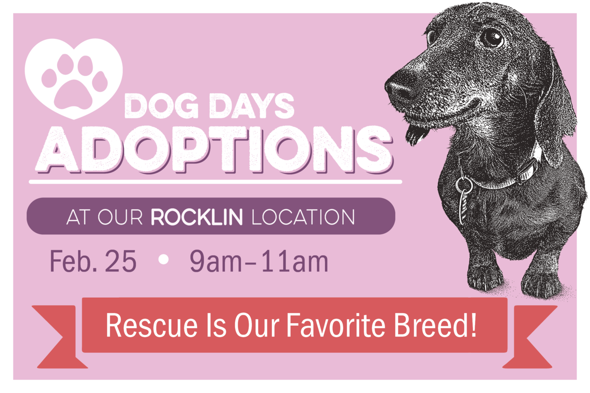 Dog Days Adoptions at our Rocklin location. February 25 from 9am to 11am. Rescue is our favorite breed!