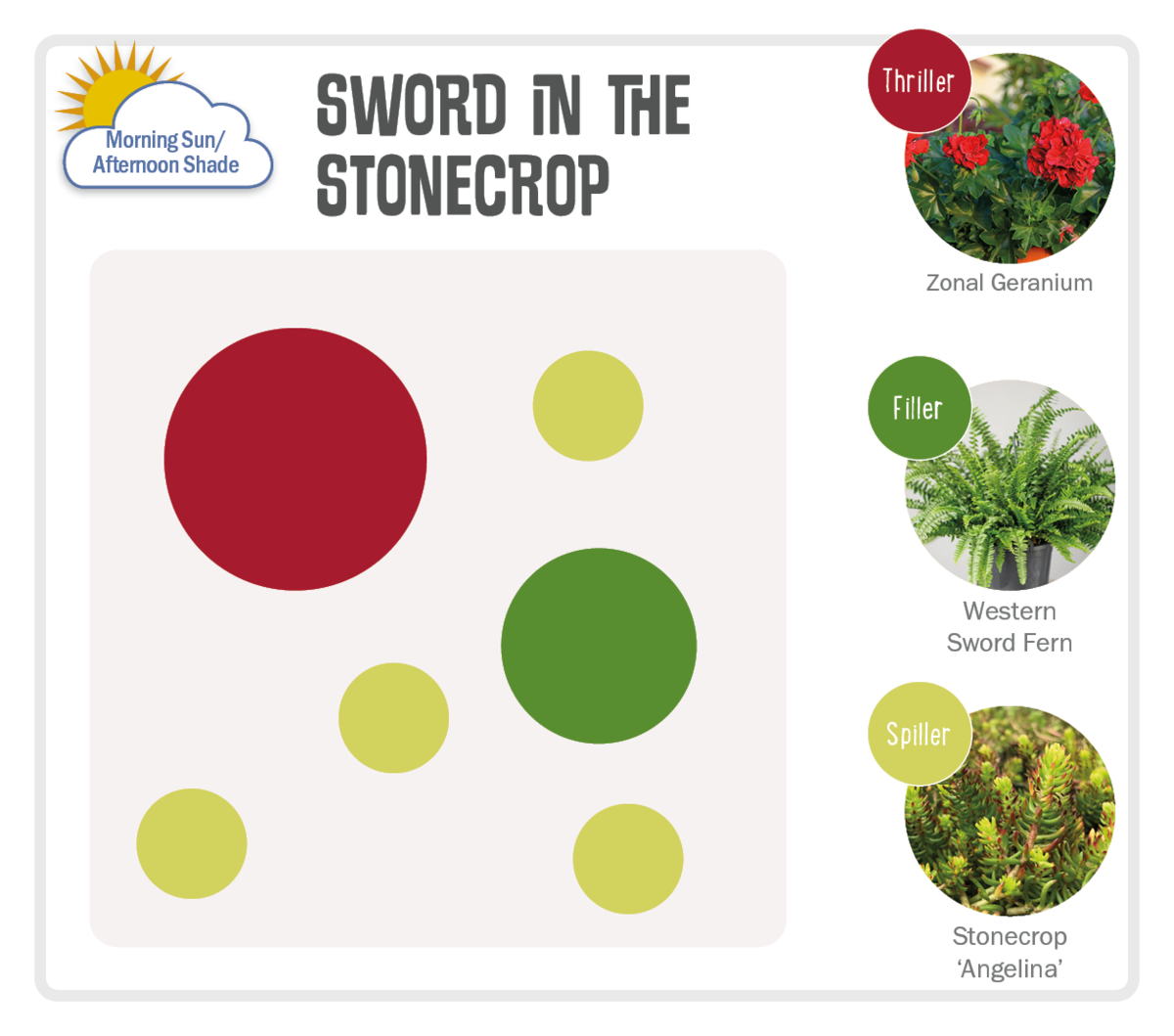 Image of Sword in the Stonecrop Pot-Up Recipe