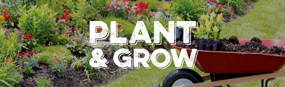 Plant & Grow: Planting Service Made Simple and Fun. Plant & Grow: Planting Service Made Simple and Fun.
