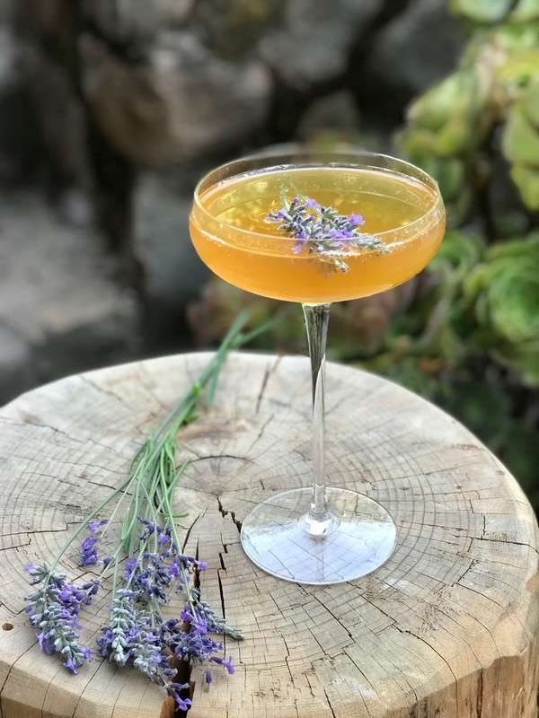 The Honey Bee Cocktail