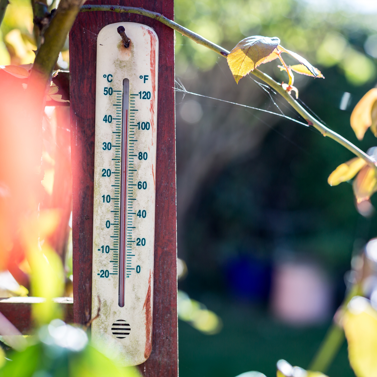 Thermometer with a reading of 110 degrees. 